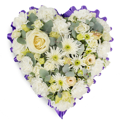 Soft, reverent and carefully fashioned for remembrance, this heart-shaped cushion of blooms presents a single creamy-white rose at its centre, its spiralled petals acting as a calm focal point. Around it, layers of pristine white carnations add plush density while white chrysanthemums-some with narrow, spider-like petals-introduce lively, architectural texture and subtle pale green centres. Smaller cream roses and tight lisianthus buds nestle in the folds, giving depth and a whisper of warmth, while tiny pale-yellow touches catch the eye without disturbing the tranquil mood. Blue-green eucalyptus leaves are woven throughout, their dusty sheen and gentle fragrance lending a cool counterpoint to the soft florals. The arrangement is neatly outlined by a deep lavender-to-purple ruffled ribbon, scalloped along the edge to define the heart and add a dignified, respectful frame that reads both solemn and tender. Light is depicted as soft and even, bringing out petal veining and the satin sheen of rose faces. This is the sort of sympathy tribute we prepare at Canonbury Flowers with quiet attention to balance and scent-aimed at honouring memory and offering comfort to mourners in Canonbury, nearby New River Walk and Chapel Market. Finished for careful local delivery, it's suited to funerals, wakes or as a memorial piece sent to family homes.