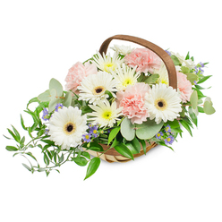 A carefully composed basket of flowers photographed against a bright, clean white background, offering a refined and approachable expression of tenderness. The arrangement sits in a light, hand-woven wicker basket with a broad arching wooden handle, its craftsmanship visible in the even weave and natural wood tones. Several large, immaculate white Gerbera daisies form the visual heart of the piece; each gerbera's soft, radial petals contrast with a strong deep brown or near-black centre, creating a clear, cheerful focal point. Intermingled are clusters of delicate blush-pink carnations whose ruffled petals create a plush, romantic texture, while numerous small, daisy-style blooms in white and pale yellow - likely spray chrysanthemums or asters - pad out the bouquet with abundant, sunny highlights. Small sprays of tiny purple-blue star-like flowers peek through the greenery, adding a subtle cool note that deepens the palette without overpowering the soft pastels. The supporting foliage is generous and varied: round, silvery eucalyptus leaves add a cool, aromatic counterpoint and a contemporary leaf shape, while darker glossy ruscus cascades gently from the left side, producing a graceful, trailing line. The even, bright studio lighting shows each petal and leaf in crisp relief and suggests the flowers' freshness and delicate scent. As a local florist serving Canonbury and nearby streets like Essex Road and Canonbury Square, Canonbury Flowers often recommends this style as a thoughtful sympathy tribute, a serene centerpiece for a modest reception, or a tasteful present to mark a quiet celebration, available for careful delivery across the local area.