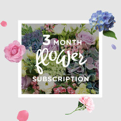 In this image, a three-month flower subscription bouquet is captured in soft, filtered daylight, evoking the calm of a slow walk along Canonbury's tree-lined streets. The arrangement is built around generous blue hydrangeas, their rounded clusters forming a plush, almost cushion-like centre that draws the eye inward. Nestled among them, pale blush and lilac roses reveal tightly layered petals gradually unfolding, their tones reminiscent of dusk skies over nearby Islington Green. Threaded through the composition are graceful lisianthus stems, some tipped with frilly open blooms, others still wrapped in pale, expectant buds, adding a sense of quiet anticipation. Lush greenery in varying shades of fresh green surrounds the flowers, with leaves arching and overlapping to give depth and a natural, garden-picked feel. The lighting is gentle but bright enough to highlight the subtle transitions of colour, from cool blue to soft pink to muted mauve, creating a harmonious, soothing palette. It feels like a bouquet meant to live on a dining table or windowsill, casting a tranquil presence over shared meals, work-from-home days, or intimate celebrations. Over the course of the three-month subscription, each delivery would echo this thoughtful styling, tailored to the shifting seasons while maintaining the same sense of layered beauty. The image suggests not only freshness and expert floristry, but also a comforting routine: flowers arriving at a Canonbury doorstep, month after month, quietly marking time with colour, texture, and the gentle scent of springlike blooms.