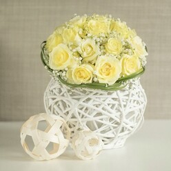A luminous floral centerpiece is captured in stillness, as if waiting on a wedding table in a quiet Canonbury townhouse. The design centres on a generous dome of pale yellow roses, each one at the peak of bloom, petals layered like satin ribbons in shades of fresh cream and light butter. They sit tightly clustered so that no gaps break the rhythm, only the occasional whisper of white where baby's breath peeks through. The Gypsophila forms soft, cloud-like tufts among the roses, its tiny star-shaped flowers catching the light and creating the impression of fine lace laid gently over the arrangement. Encircling the base, a narrow band of rich green foliage or woven leaves offers a clean, defined edge, providing just enough contrast to highlight the blossoms without disturbing their serenity.   

These flowers are cradled in a striking white woven vase, crafted from smooth, crisscrossing strands that form an open, basket-like pattern. The vessel feels both modern and organic, the negative space within its weave allowing glimpses of shadow and light that echo the intricate ironwork and hidden courtyards found along Canonbury's leafy streets. On the tabletop beside it, two decorative spheres made from similar natural strips-light in tone, with open geometric weaving-quietly balance the composition. One is larger and slightly forward, the other tucked in close, like a pair of sculptural accents chosen with care for a celebration near Canonbury Square or along St Paul's Road. The table itself is glossy and pure white, reflecting a soft halo beneath the decor. Against a blurred backdrop of warm beige, the entire scene speaks of simple luxury, thoughtful craftsmanship, and the peaceful joy of a wedding or engagement dinner in North London, ready for same-day delivery from a local florist who understands understated elegance.