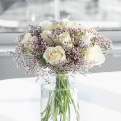 In this photograph, a luxuriously full bouquet of white roses and lilac statice is captured in soft natural light, giving the flowers an almost glowing presence. Around twelve creamy white roses form the heart of the arrangement, each bloom perfectly shaped, with petals that curl outward in smooth, velvety layers. Their colour sits delicately between ivory and warm cream, suggesting timeless romance rather than stark white formality. Woven generously among the roses are intricate sprays of tiny lavender statice flowers, hundreds of minute blossoms creating a cloudlike veil that surrounds and threads through the larger blooms. The contrast between the plush, rounded roses and the fine, almost feathery texture of the statice adds depth and movement, as if a gentle breeze could rustle through the stems. The bouquet is placed in a slender, clear cylindrical glass vase, its transparency revealing neatly cut green stems standing in cool, crystal-clear water. Light glints off the waterline and the inner surface of the glass, giving a sense of freshness and recent preparation, like a same-day delivery just arrived to a Canonbury terrace near Essex Road. The vase rests on a smooth, white surface that reflects a soft halo of colour and shadow beneath the flowers. The background is deliberately blurred into pale tones, hinting at an interior room filled with daylight from a nearby window, perhaps overlooking the greenery of Highbury Fields. The scene feels peaceful and refined, suited to a breakfast table on an anniversary morning, a minimalist office reception, or a quiet condolence gift where understated beauty speaks more eloquently than words.