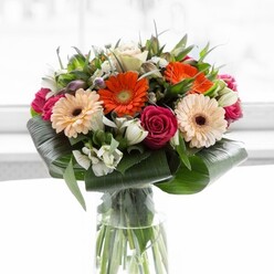 This contemporary floral arrangement, crafted by Canonbury's skilled florists, brings together the spirited brightness of orange and peach gerberas with the opulent depth of magenta roses. Each blossom is illuminated by a soft, natural glow-perhaps reminiscent of the filtered light along Upper Street on a spring afternoon-making their colours especially vibrant against the minimalist white setting. Carefully folded aspidistra leaves create a protective, glossy collar at the bouquet's base, their bold forms contrasting with the silky delicacy of the petals. Among these, sprigs of white alstroemeria and tiny, cloud-like filler flowers weave a sense of movement and anticipation, hinting at the gentle sweetness on the air. In the clear, modern vase, every green stem is visible, a testament to the arrangement's garden-fresh origin. This is more than a bouquet; it's an uplifting gesture, designed to honour achievements, brighten homes across Canonbury, or send heartfelt appreciation. There's a subtle resonance here of the joy and pride that comes from gifting beauty, whether for life's grand celebrations or the quiet, important moments shared within our local community.