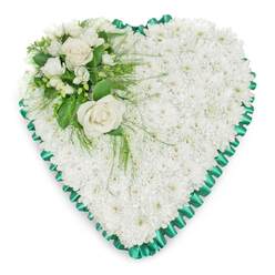 Elegant heart-shaped sympathy arrangement composed of densely packed white chrysanthemums, crafted to convey solace and remembrance for families in Canonbury. The entire heart is covered by small, rounded chrysanthemum blossoms, placed so closely together that they form a continuous, pillowy surface like freshly fallen snow. Their pure white petals suggest innocence and peace, inviting a moment of quiet reflection. Around the edge, an emerald green satin ribbon is artfully pleated, creating a ruffled border that traces the heart's contours with precision. The ribbon's subtle shine contrasts beautifully with the matte softness of the flowers, giving the tribute a refined, almost ceremonial finish. Nestled in the upper left curve is a gentle focal point: two fully open white roses, their petals unfolding in creamy spirals, encircled by petite white flowers such as freesias or similar dainty blooms. These smaller flowers add airiness and fine texture, as if a soft breeze were moving through the arrangement. Surrounding the cluster, deep green foliage fans outward - some leaves broad and glossy, others feather-light and airy - lending natural structure and a sense of living greenery. A few wisps of fern-like foliage trail lightly across the chrysanthemum surface, softening the division between accent and base. Set against a pristine white background, every petal, ribbon fold, and leaf detail stands out clearly, like a thoughtfully prepared tribute resting in a quiet chapel off Essex Road or near Canonbury station. This floral heart is suited to funerals, memorial services, and graveside tributes, offering a tender, visually gentle way to honour a loved one's memory.