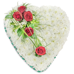 A meticulously crafted heart-shaped funeral tribute is pictured against a simple white backdrop, the entire interior of the heart densely massed with tiny white chrysanthemum heads that form a plush, cushion-like surface. The uniformity of these pristine blooms gives the impression of soft snow, calm and undisturbed, evoking a sense of peace and stillness that feels fitting for a farewell in Canonbury. Set diagonally across this pure white base are five luxurious deep red roses, their petals unfurling in tight, velvety spirals. At the top left curve of the heart, three roses form a prominent focal cluster, surrounded by fine white filler flowers-likely freesias-and a thoughtfully layered mix of foliage, including broad, glossy leaves and airy, feather-light greenery. These textures bring depth and a subtle sense of movement, almost like a gentle breeze coming up from the New River Walk. Two further red roses are placed lower and closer to the right edge, visually linked to the main cluster by arching blades of vivid green ornamental grass that sweep continuously across the chrysanthemum base. The grass strands create an elegant, flowing line that guides the eye from one rose to the next, reinforcing the shape of the heart. Around the outside, a dark, forest-green satin ribbon neatly frames the arrangement, its sheen adding a formal, respectful finish, much like a well-pressed lapel at a memorial service. The overall mood is one of quiet dignity and heartfelt remembrance, a traditional tribute often chosen by families in Canonbury and the surrounding North London area to convey love, condolences, and enduring respect.