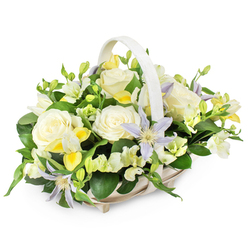 An understated yet luxurious funeral flower basket is shown against a pure white backdrop, allowing every petal and leaf to stand out with clarity, much like the peaceful side streets of Canonbury on a still afternoon. The light, nearly ivory wicker basket has a subtle weave and a rounded, slightly elongated shape, with a matching handle that rises gracefully over the arrangement, framing the flowers like a gentle arch. Inside, the design centers on several large, fully open roses in soft cream and white; their layered, velvety petals appear almost luminous, creating a focal point of serenity and grace. Threaded among these roses are delicate clematis flowers in pale lavender and soft periwinkle tones, each bloom star-shaped with finely tapered petals and a bright yellow-green heart that draws the eye. Smaller white and pale yellow freesia-like blossoms fill the gaps, some already open with a light, sweet fragrance, others still in tight buds that give the arrangement texture and depth. Subtle hints of bright yellow echo through the bouquet, adding a quiet lift without disturbing the overall peaceful palette. The flowers sit on a bed of rich, glossy dark green foliage, the leaves curving around the blooms like a protective embrace, their sheen contrasting beautifully with the matte softness of the petals. The overall mood is one of composed reflection, suitable for a funeral service at a local chapel, a wake in a Canonbury family home, or as a considerate condolence gesture sent from Canonbury Flowers to loved ones across Islington. It feels like a tribute to a well-lived life: gentle, dignified, and filled with quiet light.