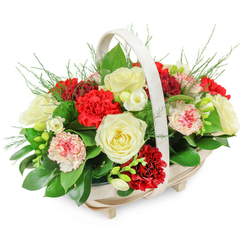A softly lit funeral flower basket rests against a clean white background, its colours and textures arranged to express gentle condolence rather than grandeur, echoing the quiet, residential calm of Canonbury's tree-lined streets. The basket itself is crafted from pale natural wood, oval and shallow with discreet little feet, and topped with a smoothly curved handle that frames the flowers like a protective arch. Inside, the arrangement is full and domed, with no harsh gaps, just a rich, continuous carpet of petals and leaves. Creamy white roses open in generous layers, their velvety spirals radiating a sense of peace and acceptance. They are accompanied by deep red carnations, their intricate ruffled edges providing depth and a more intense emotional note, suggesting respect, admiration, and lasting affection. Some carnations appear in softer tones, with pale pink or ivory petals delicately brushed or rimmed with red, as though the colour has gently bled into the edges, adding nuance and tenderness. Nestled between the main blooms are small white flowers reminiscent of freesias, with slender stems and open, bell-like blossoms, bringing a lighter rhythm that keeps the composition from feeling too heavy. The greenery is purposeful and abundant: broad, glossy leaves form a secure base, while fine, feathery fronds arc over and between the flowers, adding a natural, garden-like softness similar to the foliage you might see in nearby Highbury Fields. Every element is carefully placed, conveying the skilled hand of a local florist who understands how to balance colour, form, and emotion, making this arrangement fitting for a funeral service, a crematorium tribute, or a quiet condolence delivery to a Canonbury home.