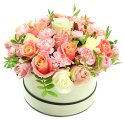Imagine a lush, rounded bouquet captured inside a refined cream hatbox, its understated matte finish and two slim dark bands giving the vessel a sartorial edge. The composition is tightly domed, a study in texture and soft colour: large velvety roses take centre stage, their petals graduating from warm coral-peach and apricot tones at the core to pale blush pink and ivory at the edges. Interwoven among them are clusters of light pink carnations, their ruffled, almost feathery petals adding a tactile contrast to the smoother rose cups. Scattered sparingly through the mass of blooms are fresh green sprigs with narrow leaves, offering crisp highlights that lift the arrangement and suggest garden-fresh scent. The overall mood is gentle and optimistic; soft daylight in the photograph bathes each blossom and reveals the subtle sheen on petals and the careful spacing the designer used to maintain a lush, full silhouette without looking crowded. This floral piece reads as both luxurious and approachable - perfect as a centrepiece for a celebratory table or as a morning surprise on a recipient's doorstep. Those familiar with Canonbury will picture this delivered to a narrow Georgian terrace or left at a studio near New River Walk, its fragrance and colours evoking the kind of comforting warmth that turns a small London flat into a place of quiet celebration.