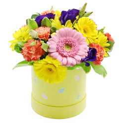 A round Easter hatbox arrangement sits proudly against a pristine white backdrop, glowing with the soft light and playful colour that define early spring in Canonbury. The container is a pastel lime-yellow cylinder, hatbox-style, its smooth sides dotted with small, scattered Easter egg illustrations in pale blue, pink, and white, some finished with subtle stripes and tiny polka dots that give a gentle, fun character. From this sturdy, decorative base rises a closely clustered, dome-shaped bouquet, designed so that every blossom seems to lean forward and greet you. Dominating the centre is a single, large soft pink Gerbera daisy, its many slender petals fanning elegantly around a fresh, light green centre, like a calm smile at the heart of the design. Around it, bright yellow chrysanthemums open in generous clusters, their radiating petals creating an almost sunbeam effect that feels like stepping out onto a sunny square near Canonbury Station. Ruffled coral-orange carnations weave between the yellows and pinks, their richly textured petals adding a sense of depth and cosiness, as if wrapping the eye in warmth. Deep violet-purple lisianthus flowers peek out thoughtfully from different angles, providing sophisticated contrast and a hint of evening richness. The ensemble is anchored by an abundance of fresh greenery, with leaves in varied shades of green and occasional soft variegation, adding structure and a garden-like freshness. Every stem appears intentionally placed, the colours interlocking like a careful painter's palette. This arrangement feels perfect for an Easter table, a spring birthday, or a cheerful "thinking of you" delivery to a home off St Paul's Road, bringing a burst of seasonal joy indoors.