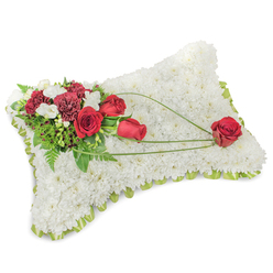 An elegant memorial cushion crafted from hundreds of small white chrysanthemum blooms forms the base of this sympathy tribute; the compact heads create a plush, fleece-like texture that reads as purity and peace. A narrow lime-green ribbon trims the pillow's edge, its satin gloss providing a discreet, fresh outline beneath the sea of white. Anchoring the design on the top left is a lush cluster of deep red roses and dark burgundy carnations-roses in differing stages of bloom offer a sense of time and memory while the carnations add a formal, ruffled richness. Interspersed among them are tiny white freesias or spray blooms that lift the composition with delicate lightness and a gentle fragrance. Rich green foliage-feathery fern tips and glossy leaves-forms a verdant support, making the reds appear more vivid. From that focal cluster, slender bright-green bear-grass strands arc in elegant, sweeping lines across the chrysanthemum field toward the lower right, where a single, perfectly formed red rose rests as a tender finishing touch. The piece is crafted with the quiet precision of a local Canonbury florist and is presented in soft, natural light that brings out the velvety reds and the clean whites without glare. Suitable for funerals or remembrance services throughout Canonbury and nearby Upper Street, this tribute speaks of enduring love and respectful farewell-an intimate, composed expression of condolence prepared by Canonbury Flowers for the local community.