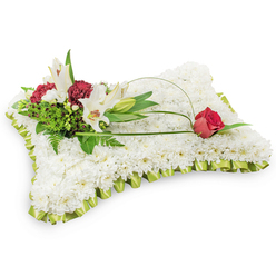 Seen from a respectful distance, this rectangular floral cushion reads like a lovingly made textile: thousands of tiny white chrysanthemums are arranged so densely across the surface that the pillow appears plush and cloud-soft, each bloom contributing to the tranquil, even texture. A pale lime-green satin ribbon, pleated and neatly tucked, circumscribes the edge, its soft sheen lending a gentle, uplifting accent to the otherwise monochrome field.

On the upper left, a considered cluster of accent blooms forms the arrangement's focal point. Two white Oriental lilies open generously, their elegant trumpets revealing pale yellow stamens, while a closed bud promises a slow, quiet bloom. Contrasting with them are deep burgundy spray carnations whose rich tones and crinkled petals bring warmth and a tactile density to the grouping. Lush fern fronds and glossy foliage fan behind the flowers, their varied greens providing a somber yet living backdrop.

A fine arc of green salal or bear grass sweeps from the cluster across the chrysanthemum surface and ends at a single deep-red rosebud on the right - a small, potent symbol of lasting love and remembrance. The palette of white, deep red and lime-green trim reads as purity and respect. Crafted with care by Canonbury Flowers, this cushion is the kind of sympathy tribute often chosen for funeral services in Canonbury, Essex Road or nearby New North Road, offering a quiet, composed presence that comforts mourners and honours the deceased.