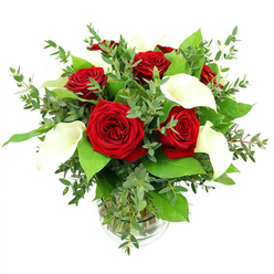 An artfully composed bouquet of red roses and white calla lilies rests in a simple clear glass vase, its rounded shape and layered textures creating a sense of quiet drama against a bright white background. At the core of the design, several fully opened roses glow with a deep, velvety crimson, each bloom formed from tightly nested petals that unfurl in perfect spirals, the way a romantic evening might slowly unfold in a cosy Canonbury restaurant along Islington's quieter side streets. Nestled among them, four or five calla lilies rise in graceful arcs, their trumpet-shaped spathes flawlessly smooth and creamy white, curving around slender yellow spadices that seem to glow softly in the balanced studio lighting. The flowers are cradled in an abundant mix of foliage: feathery stems of eucalyptus with soft, silvery-green, rounded leaves drift around the edges, while more substantial, darker green leaves provide a lush backdrop, enhancing both the red intensity of the roses and the pure white of the lilies. Through the sides of the clear cylindrical vase, the clean green stems are neatly aligned, immersed in clear water that hints at the bouquet's freshness, like something just arranged in a local Canonbury florist studio moments before being delivered to a home near Highbury Fields. The lighting is bright yet gentle, casting minimal shadows and emphasising every contour-the satin gleam of the calla lilies, the plush surface of the rose petals, and the subtle texture of the greenery. The overall mood is sophisticated and heartfelt, ideal for marking milestones, anniversaries, or those rare occasions when you want a floral gift to speak of enduring affection without a single word.