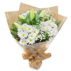 A tranquil white and green bouquet is displayed upright against a spotless white backdrop, the simplicity of the setting allowing every petal and leaf to be clearly imagined. The main impression comes from generous clusters of white chrysanthemum-style daisies, their petals fine and layered, radiating in clean circles from fresh yellow-green centres that suggest quiet optimism. Rising from this cushion of daisies are several tall lily buds, still firmly closed, their smooth, tapering forms shaded from soft green at the base to creamy white at the tips, like promises of future fragrance and bloom. Fine sprays of white gypsophila, or baby's breath, drift between the larger flowers, their tiny star-like blossoms creating a misty, clouded texture that softens the bouquet's overall silhouette. Deep, glossy green foliage cradles the flowers, the leaves sturdy yet elegant, giving the arrangement a natural fullness and a sense of health and vitality. The stems are neatly tied and wrapped in rustic brown kraft paper, its gentle crinkles and warm tone adding an organic touch that feels at home in Canonbury's leafy streets and garden squares. Around this, a layer of clear cellophane is carefully folded, providing a subtle sheen and protecting the blooms while still letting every stem and shade of green show through. The bouquet feels like something a Canonbury Flowers florist might prepare for a thoughtful condolence delivery near Highbury Fields, radiating tenderness, purity, and understated grace. It is a design that offers quiet support, ideal for sympathy gestures, remembrance services, or sending a peaceful message of care to someone needing comfort.