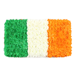 A meticulously arranged, flag-inspired floral rectangle stands as a vivid homage to Ireland's tricolour in a Canonbury studio. From left to right, three equal vertical bands of green, white, and orange rise from thousands of tiny petals, creating a dense, textured surface that feels almost sculptural. The green band presents as a lush carpet of tiny green blossoms-likely chrysanthemums or carnations-with a softly irregular topography that emphasizes the individuality of each bloom. The central white stripe is a compact cloud of white petals, its composition so tight that light plays across it like fresh frost, separating the two ends with calm clarity. The orange band mirrors the others in texture and depth, its petals catching a warm glow, suggesting marigolds or similar blooms. The white background provides a clean stage that makes the colours pop while underscoring the piece's ceremonial dignity. The bouquet exudes a sense of unity, heritage, and renewal, ideal for features on Irish culture, national holidays, or commemorations. Subtle garden scents mix with the fragrance of fresh petals, enhancing the sense of place and craft. Crafted by Canonbury Flowers for same-day delivery across Canonbury, Islington, and nearby streets like Upper Street and Dalston, this arrangement blends local spirit with a global symbol, inviting viewers to reflect on identity and community through floral art.