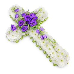 A reverent floral cross lies against a spotless white background, its shape immediately recognisable and deeply comforting, as if prepared for a quiet memorial at a chapel just off Upper Street in Canonbury. The entire form of the cross is built from tightly clustered white spray chrysanthemums, so close together that no gaps of foliage or stems can be seen. Each bloom is crisp and fresh, the petals overlapping like fine fabric, with tiny green centres that lend the surface a soft, living texture rather than stark flatness. A narrow lime-green ribbon runs all the way around the edges of the cross, catching the light and cleanly defining its outline, giving a gentle hint of colour that feels hopeful rather than bright. At the centre, a generous gathering of rich royal purple lisianthus creates a dramatic focal point. Their velvety, cup-shaped blossoms, some fully open and others still in bud, nestle amongst light green foliage and delicate fillers, forming a lush, rounded corsage. From this heart of colour, a few lisianthus stems extend outward and then drift gracefully down the lower section of the cross, as though the flowers are slowly flowing in a diagonal line. The composition is photographed from slightly above, so you can appreciate the contours of the petals, the thickness of the chrysanthemum bed, and the gentle shadow that anchors the piece to the white ground. Crafted with care in the style our Canonbury Flowers team would prepare for a funeral or graveside visit, this cross blends purity, faith, and quiet sorrow into a single, dignified tribute.