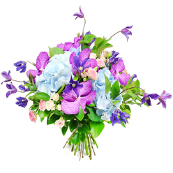 This image shows an opulent, garden-style bouquet set against a pure white backdrop, the kind of arrangement you might see being finished in a quiet studio just off Canonbury Square. Dominating the composition are large, rounded heads of pale sky-blue hydrangea, each blossom made up of countless tiny petals that create a soft, cloud-like texture, almost as if you could sink your hand into them. Threaded between these blue mounds are exotic orchids in shades of fuchsia and rich royal purple, likely Vanda or Phalaenopsis, their velvety petals patterned with intricate speckles and veins that catch the light in a subtle, luxurious way. From the upper edges of the bouquet, deep purple clematis stems weave and tilt, some blooms facing forward, others gently curving outward, giving the design an airy height and a slightly wild, romantic movement that feels in tune with the hidden gardens of Canonbury's terraces. Tucked in more closely are dainty miniature roses in blush pink and creamy white, each small rosette adding a note of tenderness and classic charm, like a quiet whisper of love or gratitude. A generous collar of lush greenery, with varied, glossy leaves, anchors the pastel and jewel tones, providing contrast and depth while hinting at the bouquet's freshness, as though it has just arrived for same-day delivery along nearby Upper Street or New River Walk. The stems are bundled neatly and tied at the base, showcasing skilled craftsmanship whilst keeping the arrangement soft and natural. Altogether, the bouquet radiates elegant joy and thoughtful intention, perfect for a special dinner in a Canonbury home, a wedding celebration, or sending a message of admiration that feels both modern and timeless.