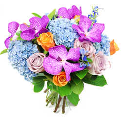 Captured against a bright, uncluttered white background, this hand-tied bouquet looks like a small garden gathered in the hands, crafted with the calm precision of an experienced Canonbury florist. Rich magenta and fuchsia Vanda orchids, their petals veined and speckled with delicate white markings, sit like jewels scattered across the arrangement, adding a dramatic, almost couture flourish. Supporting them is a generous collar of soft blue hydrangeas, the rounded clusters composed of tiny, overlapping petals that create a billowy, cloudlike texture. Nestled within this blue haze are roses in two harmonising palettes: lively orange blooms that spiral open with a sense of movement and sunshine, and muted lavender-mauve roses whose cool undertones echo the hydrangeas, suggesting quiet romance. Here and there, slender stems of deep blue, spiky flowers emerge, similar to delphiniums, lifting the eye upward and breaking the rounded outline with subtle vertical accents. Shiny, dark green leaves frame the composition, their smooth surfaces and gently curved edges giving a fresh, organic contrast to the intricate petal work. The stems, neatly gathered and tied at the base, show this is a true hand-tied bouquet, ready to be placed in a favourite vase on a table near Highbury Fields or a window overlooking Canonbury's leafy streets. The overall impression is one of balanced exuberance: vibrant yet composed, ideal for celebrating milestones, birthdays, or heartfelt congratulations with same-day flower delivery in the local area.