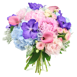 A round, hand-tied bouquet rests against a pure white backdrop, glowing with a harmony of soft pinks, cool blues, and jewel-toned purples. Dominating the arrangement are generous light pink peonies at full bloom, their petals layered in feathery ruffles that suggest both movement and softness, like silk cushions gathered at the centre. Curling around these are domes of powder blue hydrangeas, each made up of countless tiny petals that create a pillowy, cloud-like base, cooling and calming the warmer tones above. Scattered throughout, deep violet-purple Vanda orchids provide striking focal points, their broad petals marked with intricate darker speckles that hint at something rare and exotic. Between them, sleek fuchsia calla lilies emerge in sculptural curves, their fluted, trumpet-like forms lending a contemporary elegance and a bright pop of colour. Smaller blush pink spray roses weave through the larger blooms, adding a romantic, vintage note and a more delicate scale that invites you to lean closer. Soft silvery-green dusty miller and glossy dark foliage frame the flowers, their contrasting textures giving the bouquet depth and a subtle, almost velvety edge. The stems gather neatly at the base, visible and hand-tied, suggesting a bespoke piece crafted by an attentive florist. The composition feels serene yet celebratory, like a fragrant armful of spring picked from a private garden off Canonbury Park North, ready for same-day delivery to mark a milestone birthday, a quiet proposal, or a simple "thinking of you" message somewhere along Essex Road.