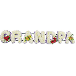 Set against a clean white backdrop, a handcrafted funeral tribute spells out GRANDPA in sturdy, upright capital letters, each one formed from tightly packed white chrysanthemums that create a plush, velvety surface. The flowers sit so closely together that no gaps show, producing a smooth, snowy blanket of petals that soften the strong lines of the lettering. A narrow band of pale purple ribbon traces the edge of every letter, the gentle colour echoing twilight tones seen over Canonbury's leafy streets and adding a quiet, soothing contrast. Within the generous curve of the initial G, the florist has arranged three or four deep red roses, nestled in a nest of fresh greenery; their rich colour and full, spiralled heads become a striking focal point of love and remembrance. The third letter, A, is graced with bright yellow-green orchids, their long, elegant petals and subtle burgundy markings bringing an air of sophistication and individuality, much like a grandfather known for his character and stories. The rounded D repeats the gesture of the G, holding another cluster of red roses, while the final A closes the tribute with a second spray of those luminous orchids, balancing the design from end to end. Behind the flowers, slim metal bars quietly support and connect the letters, ready for display in a local Canonbury chapel of rest or at the graveside. The composition feels calm yet heartfelt, a carefully considered piece that allows family and friends to express their love in a way that feels both personal and timeless.