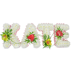 The image shows a beautifully composed funeral name tribute spelling KATE in four strong, upright letters, crafted entirely from tightly packed white chrysanthemums that create a cloud-like texture across each form. Every letter is framed with a pale pink satin ribbon, gently gathered so that it ripples softly around the edges, lending a touch of refinement and a sense of tender care. Set against a plain white background, the details are strikingly clear, as though the arrangement has just been finished in a calm back room of a Canonbury florist, ready to be taken to a service nearby. Rich clusters of deep green foliage break through the white at key points, cradling vibrant accent flowers. On the K and at the base of the T, yellow-green cymbidium orchids with intricate red-brown centres add sophisticated colour and a feeling of quiet luxury, their long, tapered petals arching delicately. On the A and E, polished, heart-shaped red anthuriums stand out with their waxy surfaces and central spadix, symbols of enduring love nestled among the greens. Slender green vines and curling stems stretch and loop from letter to letter, linking the name with a natural, flowing rhythm, like a gentle path through nearby Canonbury Square Gardens. The tribute feels both formal and deeply personal, ideal for a memorial or graveside farewell, and captures the thoughtful artistry that local families in Canonbury might choose when honouring a loved one with bespoke sympathy flowers and same-day funeral flower delivery.