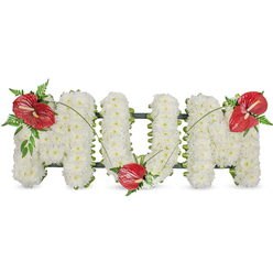 A warm, locally crafted 'MUM' tribute designed for those final acts of love and remembrance around Canonbury. Set against a bright white backdrop, each capital letter is built from hundreds of pure white spray chrysanthemums, arranged with the kind of care a neighbourhood florist on Essex Road would take: blooms pressed densely together to create a plush, even surface that reads as a soft, white cloud from across the room and reveals delicate petal detail up close. Three vivid red anthuriums punctuate the composition-one poised on the upper left sweep of the first 'M', a second gently tucked at the base of the 'U', and the third placed on the upper right curve of the last 'M'-their glossy heart-shaped spathes and pale yellow-white spadices offering a warm, intimate contrast. Sprays of deep green foliage, including feathery ferns and broader leaves, cradle each anthurium while slender arching blades of grass connect them with graceful lines that flow across the letters. A discreet dark green structural edge shows through at the sides, giving the freestanding letters stability and subtle shadow against the white background. This arrangement, offered for funerals, wakes or cemetery memorials, conveys calm dignity and lasting affection; the scent is faint and fresh, the visual language timeless. Prepared by Canonbury Flowers with an eye for classic sympathy design, it reflects local sensibilities and may be requested for services near Canonbury Square, St Paul's Road or the New River Walk.