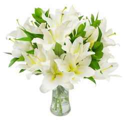 This expansive cluster of white lilies reads like a quiet, elegant statement: large, layered blooms of immaculate white are grouped densely in a clear glass vase that showcases the stems and water with transparent simplicity. Each lily presents multiple smooth, gently recurved petals whose brilliant white surface is softly warmed at the center by a pale cream-to-yellow gradient, lending depth to the otherwise luminous palette. The open flowers reveal long, graceful stamens-slender, greenish-yellow filaments crowned with darker, warm-brown anthers-that provide delicate sculptural detail against the petals. Interwoven between the blossoms are abundant, elongated green leaves; their deep verdant tone and glossy texture lift and frame the arrangement, providing fullness and a satisfying contrast that accentuates each bloom. Light plays across the scene, reflecting in the clear water and down through the pale stems, which have been carefully trimmed and positioned to suggest both care and confidence in floral craftsmanship. As a florist working in Canonbury, I picture this arrangement on an understated mantelpiece near New River Walk or delivered for a quiet ceremony in Islington-its visual language equally suited to expressions of sympathy and to understated celebrations that favour refinement over flourish. There is a gentle scent suggested by the image-clean, sweet, slightly intoxicating-that seems to fill a small room without overwhelming it. The composition speaks of freshness and attention to detail, an arrangement that reassures, consoles, and elevates a space with classic, restrained beauty.