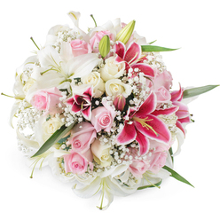 A lavish, dome-shaped bouquet of lilies and roses is shown floating against a clean white background, as if just lifted from the workbench of a Canonbury florist preparing a special delivery. The eye is first drawn to the serene white lilies, their trumpet-shaped blooms fully unfurled, each petal smooth and luminous, with faint veins and pale green centres that signal absolute freshness. Among them, pale blush pink roses and cream roses intertwine, their velvety petals spiralling outward in tight, romantic whorls or gently opening into soft, cupped blooms that suggest tenderness and devotion. Cutting through these gentle tones, several bold fuchsia Oriental lilies, reminiscent of Stargazers, provide a dramatic focal point, their deep pink petals edged in lighter tones and freckled with darker speckles, with golden-yellow stamens reaching outward. Between every larger flower, airy clusters of white baby's breath weave through the arrangement, like fine lace or morning mist, giving the bouquet a weightless, almost dreamy quality. Subtle slivers of green foliage peek out here and there, adding depth and a hint of woodland freshness without distracting from the mainly white and pink palette. The lighting is bright and even, accentuating the contrast between the crisp whites, soft blushes, and intense magentas while keeping the overall mood calm and celebratory. It feels like a bouquet chosen for heartfelt moments in Canonbury and nearby Islington - perhaps carried down Canonbury Square for an intimate wedding, placed as a centrepiece at a dinner off Essex Road, or delivered as an uplifting gesture for a milestone birthday or engagement, where beauty, romance, and joy need no words.