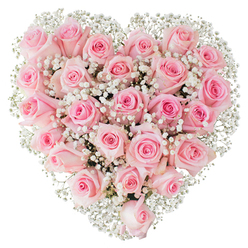 Close enough to hear the hush of petals, this heart-shaped arrangement is an exercise in soft-palette romance, laid out against a clean white field that makes every detail count. The dominant stars are soft pink roses-hundreds of velvety curves packed in deliberate intimacy-each rose varying slightly from pale, milk-pink buds to more saturated, blush-centre blooms. Their forms alternate between tight, elegant spirals and gently opened blossoms, lending the heart a living, breathing quality rather than a static shape. Interwoven among them, the baby's breath (Gypsophila) appears like fine white embroidery, tiny pinpoints of bloom that catch the light and lift the composition with a feathery brightness. The contrast between the roses' plush texture and the gossamer airiness of the gypsophila creates both visual depth and a tactile suggestion: soft, cool petals against the faint crispness of the tiny white flowers. The overall mood is one of hushed celebration - the kind of arrangement you might commission when walking past Canonbury Square on a thoughtful errand, choosing something that reads as intimate and sincere. The photographer's bright, even illumination highlights the arrangement's symmetrical heart and the meticulous hand that positioned each blossom. This bouquet reads as tender, considered, and timeless, appropriate for Valentine's notes, anniversaries, or a gentle tribute, offering the recipient a quiet, elegant expression of deep feeling.