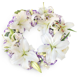 A serene white and lilac funeral wreath is shown in perfect circular form against a bright, uncluttered white backdrop, its tranquillity and detail immediately drawing the eye. Broad, velvety petals of white Oriental lilies dominate the design, each bloom opening like a star and revealing a soft green heart, pale filaments, and pollen-tipped anthers that add a whisper of warm colour. Around and between these lilies, fluted Lisianthus-style flowers weave a gentle pattern, their white petals touched with fine purple edging, as if a brush has skimmed each ruffle with lavender ink. Some of these smaller blooms are fully open, while others remain in tighter, more modest cups, enhancing the sense of gradual unfolding. Subtle accents of closed lily buds and small, creamy rosebuds give texture and a feeling of quiet expectation, while dark, glossy greenery and slender, eucalyptus-like leaves provide a cool green cushion beneath the flowers. The wreath feels both luxurious and understated, the colours reminiscent of soft evening light over Canonbury's quiet terraces and tree-lined streets off Upper Street. Every stem appears carefully placed, creating a complete, unbroken ring that conveys solace, respect, and enduring remembrance. The overall mood is calm and contemplative, well suited to resting by a coffin, urn, or photo at a local chapel or crematorium service. It is the type of sympathy arrangement a Canonbury florist might prepare for same-day delivery across the neighbourhood, offering grieving families a graceful focal point of peace as they gather to say goodbye.