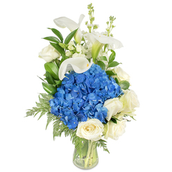 A refined floral composition presented in a simple clear glass vase, set against a bright white background so each bloom can be seen in crisp detail. Dominating the arrangement is a dense, rounded head of vibrant blue hydrangeas whose clustered florets suggest a soft, tactile surface - cooling and richly coloured. Nestled around the lower curve are creamy white roses, their layered petals catching light and lending a classic, tender softness that complements the hydrangeas' boldness. Rising above are several white calla lilies, their smooth, trumpet-shaped blooms like sculpted porcelain, introducing graceful height and a serene, upward movement. Slim, vertical stems of white snapdragons or stock thread through the upper portion, their small, delicate blossoms creating a playful, breathy texture against the lilies' sleek forms. Lush greenery - broad, glossy leaves and airy fern fronds - weaves through the bouquet, adding depth, structure, and a fresh green scent that frames the flowers. The glass vase reveals neat stems and clean water, reinforcing the arrangement's fresh-from-the-workshop feel. The overall mood is peaceful and composed: a tasteful sympathy arrangement, a considered gift for birthdays or anniversaries, or a polished table centrepiece. As a local florist familiar with Canonbury and Chapel Market, we often recommend this blue-and-white palette for occasions calling for quiet dignity and calm presence, and it is available for local delivery across Canonbury and neighbouring Islington when same-day service is needed.