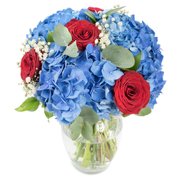 Bright, sculpted clusters of azure hydrangeas form the plush heart of this arrangement, packed closely to create a generous, cloud-like dome of colour. Against that cool, voluminous blue sit three intensely red roses, their petals rolled into elegant, velvet spirals that read as declarations of passion and classic romance. Interlaced through the bouquet are wisps of tiny white baby's breath that catch the light like flecks of confetti, softening the contrast between the blue and red and adding ephemeral texture. Rounded eucalyptus leaves and other fresh greenery introduce muted sage tones and a subtle aromatic lift; you can almost sense the faint, clean herbal perfume when they brush past. The blossoms are displayed in a clear glass vase with a gently tapered neck, and the transparent water reveals crisp, healthy stems, signalling freshness and careful floristry. Photographed on a pristine white background with bright natural lighting, each petal and leaf reads clearly, making the bouquet ideal for striking centrepieces or intimate gifts. A local touch: this style feels at home on a windowsill looking out toward Canonbury Square or a tabletop after a stroll down Upper Street-an arrangement that reflects the neighbourhood's quiet elegance. It's a confident, uplifting composition meant to celebrate birthdays, anniversaries, or simply to bring a cheerful, contemporary note into a home.