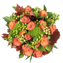 Viewed from above on a crisp white surface, this hand-arranged autumn bouquet combines classic roses with unexpected texture to create a warm, seasonal statement. The composition is built around abundant, fully bloomed roses whose centres glow a soft peach, graduating outward to coral and rich orange hues with occasional russet tinges on the outer petals, a bicolour effect that mimics leaves catching the low autumn light. Scattered like small jewels among the petals are clusters of Hypericum berries-brilliant lime-green alongside delicate, creamy-yellow beads-bringing playful contrast and a glossy, tactile accent. Pockets of Green Trick dianthus provide dense, moss-like texture, their rounded forms offering a fresh, almost woodland green that sits beautifully against the smoother rose petals. Deep, lobed leaves in shades of burgundy and reddish-brown are threaded through the arrangement, anchoring the palette and conjuring the burnished tones of Canonbury's tree-lined streets in October. Generous sprays of glossy green foliage complete the circle, adding movement and depth while soft shadows emphasize the bouquet's layered construction. As a local florist who knows what suits a cosy Islington flat or a seasonal table on Essex Road, I imagine this piece at the centre of a Thanksgiving meal or gifted to welcome someone home; it reads as both sophisticated and warmly familiar. Freshness is visible in the crisp petal edges and taut berry skins, and under gentle lighting the whole arrangement feels tactile and scented-notes of rose with a faint woodland undercurrent-ready for local delivery across Canonbury and nearby streets by Canonbury Flowers.