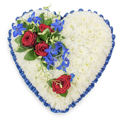 A carefully styled, heart-shaped sympathy tribute fills the image, viewed from directly above so every petal and detail is visible. The heart itself is densely carpeted with pristine white chrysanthemum blooms, each flowerhead neatly nestled into the next, creating a flawless, cushion-like surface that feels both soft and enduring. Encircling this snowy field is a finely pleated band of royal blue satin ribbon, its sheen catching the light in subtle highlights, giving the tribute a tailored, formal edge that frames the heart with clarity. On the upper left shoulder of the heart, a cluster of rich, deep red roses becomes the emotional centrepiece. The roses are fully open, their layered petals velvety and expressive, cradled by dark green foliage that adds depth and structure. Threaded through and gently spilling downwards are electric blue dendrobium orchids, their slender stems and starry petals bringing movement and a contemporary feel. Light green curly tendrils weave around the orchids, echoing the natural twist of wild vines and softening the transition between the white base and the bold accent flowers. On the lower right curve sits a single red rose, deliberately separated from the main spray, creating a poignant visual echo, as if representing one special person held in memory. The palette of white, blue, and red suggests sincerity, peace, and profound affection, making this design ideal for a funeral service or memorial gathering in Canonbury or along nearby Upper Street. It feels like a piece a local florist would deliver directly to a church or crematorium, intended to offer quiet comfort to grieving friends and family.