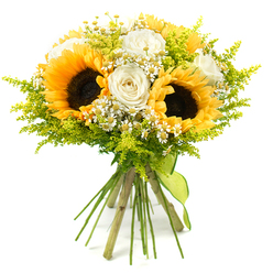 Captured against a clean, bright white backdrop, this hand-tied bouquet glows with the easy cheerfulness of a late summer afternoon in Canonbury. Three large sunflowers dominate the heart of the arrangement, their deep, textured brown centres ringed by generous layers of golden-yellow petals that seem to lean towards the light. Nestled closely among them are creamy white roses, some fully open and spiralling elegantly, others still partially furled, their satin-like petals adding a refined softness that complements the sunflowers' rustic strength. Sprinkled throughout are tiny white, daisy-like flowers-reminiscent of chamomile or feverfew-with neat yellow centres, bringing a sense of playful detail and movement, like wildflowers gathered from a path near New River Walk. Around and between the blooms, airy sprays of lime and chartreuse foliage create an abundant green cushion, the fronds and delicate buds suggesting solidago or a similar filler that adds volume without overwhelming the design. The stems, long and freshly cut, are drawn together in a tidy, hand-tied cluster and finished with a slim lime-green ribbon that wraps snugly around the base and trails gently downward. The bouquet feels both spontaneous and carefully considered, as though arranged by a Canonbury florist who knows how to reflect the area's relaxed, village-like charm. Its blend of sunny yellow, soft white, and lively green makes it perfect for celebrating milestones, brightening a studio near Upper Street, or sending a message of encouragement and joy to someone in the local neighbourhood.