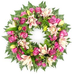A richly detailed circular sympathy wreath in romantic shades of pink and cream is displayed against a pure white background, its colours and textures glowing as if caught in soft daylight. The wreath is densely woven with roses in deep magenta, fuchsia, and gentle blush, some tightly furled and others fully open, their layered petals almost touchable in their velvety softness. Nestled amongst them are generous double lilies in creamy white, blush pink, and pale peach, their broad petals curling back to reveal intricate centres, while a scattering of lime-green buds stands upright, promising blossoms yet to open. Surrounding and supporting the flowers is an abundance of lush foliage: feathery fern fronds with fine, lace-like leaflets, and glossy, dark green leaves that peek through the blooms, giving the arrangement structure and a sense of living freshness. The crisp white backdrop throws every flower into sharp relief, emphasizing the circular shape that symbolises an unbroken bond and eternal love. The overall impression is of a handcrafted tribute prepared by an experienced Canonbury florist, perhaps destined for a quiet farewell at a chapel near Douglas Road or a memorial gathering close to the leafy avenues around Canonbury Square. The combination of rich pink tones with cooling greens creates a feeling of gentle comfort, making this wreath fitting for funerals, remembrance services, or celebrations of life where family and friends want to express deep sympathy and enduring respect through flowers that feel both elegant and heartfelt.