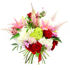 Set against a clean white backdrop, this hand-tied bouquet feels like a cinematic close-up of colour, texture, and craftsmanship. Several opulent dark red roses sit at the core, their velvety petals curling inward in rich, romantic spirals that immediately draw the eye. Surrounding them, soft pink lilies stretch open with elegant, star-shaped blooms, their interiors dusted with stamens, while a few tall, tapered buds remain closed, hinting at a second wave of beauty in the days ahead. Billowing mounds of ruffled white blossoms, reminiscent of hydrangea or full garden carnations, create a creamy cushion that adds volume and softness. Right at the centre, a spherical cluster of bright lime green dianthus offers a striking, almost moss-like texture, providing a fresh, contemporary counterpoint to the more traditional flowers. Wispy sprays of pale pink astilbe splay outwards, like gentle plumes of mist lifting over the nearby New River Walk in Canonbury, bringing a sense of lightness and informal grace. Tucked throughout are tiny fuchsia and lavender-purple filler blooms that introduce playful notes of colour and help link each section of the design. Deep green leaves weave between the blossoms, framing the composition and enhancing the vibrancy of the petals. The stems are left visible and expertly bound at the base with a narrow red satin ribbon, emphasising the bouquet's hand-crafted nature and readiness to give. This arrangement feels perfect for a heartfelt anniversary, a special birthday surprise, or simply to brighten a light-filled Canonbury kitchen with fragrance, warmth, and understated luxury.