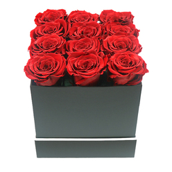 A close, level view shows a perfectly composed box of preserved red roses that feels both modern and deeply romantic, like a considered gift from someone who knows Canonbury well. Twelve sumptuous ruby red blooms are arranged in a flawless 3x4 grid, their heads aligned edge to edge so the top of the arrangement forms an almost seamless, quilted field of petals. Each rose appears identical in size and shape, fully open with layer upon layer of velvety crimson petals that swirl inward, darker at the centre and lighter at the outer curves where the soft studio light grazes them. The roses sit snugly within a matte black square box whose surfaces are completely smooth, almost satin-like, and defined by sharply cut corners that give the design an architectural feel, reminiscent of the clean lines of contemporary homes near Canonbury Square. Around the lower third of the box, a fine, bright white band runs horizontally, like a minimalist ribbon, providing a crisp graphic accent that heightens the contrast between the dark container and the vivid flowers. The background is a pure, glowing white with no texture, making the arrangement appear almost as if it is floating, its gentle shadows adding subtle depth without distraction. The overall impression is of thoughtfully curated luxury: a statement of love, gratitude, or admiration that would be perfectly at home arriving as same-day delivery to a townhouse off Essex Road, a chic apartment near Highbury & Islington, or a quiet celebration dinner table at home. It suggests an enduring, maintenance-free beauty designed to hold memories as long as the roses last.