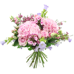 A luxurious pink and lavender bouquet is captured in front of a clean white backdrop, spotlighting every curve and fold of the blooms. At the centre, two large, rounded heads of blush pink hydrangea form generous cushions of colour, each tiny floret layering over the next to create a billowy, cloud-like effect. Nestled among them are light pink roses, some fully open with their classic swirling hearts revealed, others still held in elegant bud form, lending a sense of anticipation and unfolding romance. Rising gracefully from between these focal flowers, slender stems of bell-shaped blooms, likely campanula, add delicate towers of pastel lilac and cool lavender, echoing the soft, early-morning skies often seen above the leafy streets of Canonbury. Scattered throughout are petite, darker pink and fuchsia filler flowers, their small clustered petals bringing sparkle and lively texture, as though the bouquet is quietly humming with energy. A generous collar of fresh green leaves and fine buds surrounds the blossoms, giving a freshly gathered, from-the-garden feeling, like something just cut from a hidden courtyard near Canonbury Station. The stems are clearly visible at the base, gathered in a hand-tied style that suggests skilled, careful arranging by a local florist who knows how to balance volume, colour, and shape. Soft lighting washes across the petals, highlighting their velvety surfaces and gentle gradients of colour. This composition feels ideal for celebrating gentle but heartfelt moments-a Mother's Day surprise, a thoughtful 'thank you', or same-day delivery to a loved one in Canonbury who deserves something beautiful on an ordinary day.