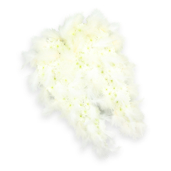 A pair of exquisitely shaped angel wings, crafted entirely from white flowers and feathers, rests on a pure white background, radiating calm and consolation. The central body of each wing is composed of tightly clustered white chrysanthemums and petite carnations, packed so closely together that they form a smooth, cloud-like surface. The petals are pristine but not flat; among them, tiny centers of pale green and buttery yellow breathe life into the design, keeping it natural and gently varied. Tracing the elegant outline of the wings, soft white feathers are layered in sweeping arcs, their delicate barbs catching the light and creating a halo of airy texture. The feathers soften every edge, turning the silhouette into something that feels protective and embracing, like a guardian angel's arms drawn close. Bathed in soft, even illumination, the arrangement casts only a slight shadow, which adds a sense of quiet dimension without disturbing the serenity of the scene. There is no visible stand or distraction in the background, just the wings themselves, floating in a field of white. The image conveys the hush of a farewell moment, when family and friends gather to remember a life lived and a soul at peace. In Canonbury, where historic lanes and peaceful corners invite reflection, a tribute like this would be chosen to accompany a funeral cortege, rest at a graveside, or stand beside a memory table at a wake. It reflects the gentle, respectful style of local Canonbury florists who create sympathy arrangements that honour both faith and feeling with understated grace.