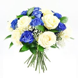 A rounded bouquet of roses rests against a crisp white backdrop, the composition calm and balanced, created to offer solace in difficult moments. Deep sapphire-blue roses are scattered evenly throughout the design, their velvety petals rich and saturated, like small pools of midnight colour suspended among the lighter blooms. Between them, creamy ivory roses open in soft, spiralling layers, some fully blossomed and others just beginning to unfurl, bringing a sense of gentle movement and unfolding grace. Nestled among the roses are airy tufts of baby's breath, each tiny white flower clustered on delicate stems that create a fine, cloud-like haze, softening the transitions between blue and cream. Around the edges, dark green foliage forms a subtle frame, the leaves smooth and slightly glossy, giving depth and an understated, natural structure. The stems are clearly visible below, gathered closely as if just finished by an experienced Canonbury florist and set down for a moment on a workbench near New River Walk. Soft, even lighting highlights the textures-the satin sheen of the petals, the feathery gypsophila, the firm, clean lines of the stems-without casting harsh shadows. The bouquet feels composed and reflective, perfectly suited for expressing sympathy, remembrance, or quiet support for a family in Canonbury or nearby Islington. It suggests a message of respect and enduring care, a floral tribute that would sit with dignity beside a framed photograph, at a memorial service, or on a hallway table where mourners gather to share memories.