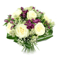 Captured in bright, even studio light against a clean white background, this luxurious bouquet feels like a quiet pause in the middle of Canonbury's busy streets. At its heart, several large creamy white roses unfurl in full bloom, their spiralled petals overlapping in soft, velvety layers that suggest both purity and reassurance. They are surrounded by generous clusters of deep purple and magenta alstroemeria, whose trumpet-shaped petals carry subtle striping and a satin sheen, adding a rich, almost regal contrast. Some alstroemeria blossoms are open and expressive, while others remain in bud, hinting at the bouquet's continued life over the coming days. Filling the spaces between, fine sprays of white baby's breath scatter like tiny clouds, creating a soft halo effect that lightens the composition and gives it an airy, dreamlike quality. Here and there, green-white astrantia punctuates the design, their intricate, star-like forms adding a garden-inspired detail, much like the textured borders you might see walking through nearby Canonbury Square Gardens. Encircling everything, broad, dark green aspidistra leaves are carefully folded and structured into a smooth, glossy collar that holds the bouquet in a compact, rounded form. The stems are neatly bundled and visible at the base, confirming the bouquet is hand-tied and ready to slip straight into a favourite vase. The overall look is tranquil yet refined, ideal for sending comfort, congratulations, or heartfelt thanks with same-day flower delivery around Canonbury, Highbury, or along Essex Road, where a touch of floral elegance makes any room feel more serene.