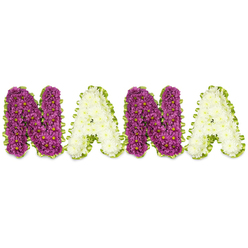 Presented on a stark white background, this bespoke memorial piece spells out NANA in four sculpted floral letters, each hand-built from hundreds of small, chrysanthemum-style blooms. The two N letters are composed of rich magenta to deep purple chrysanthemums, their tiny yellow centres adding delicate pinpoints of warmth within a densely textured surface. The two A letters are made from soft cream to pure white chrysanthemums, packed closely to form a serene, cushion-like face that contrasts beautifully with the darker characters. A bright lime-green border-created from narrow pleated ribbon or closely layered foliage-traces every letter, its lively colour lifting the composition and defining each form with clarity. The arrangement sits in even light that accentuates the three-dimensional quality of the letters and highlights the meticulous florist technique: each flower head is chosen for size and colour, placed to maintain a uniform height and a crisp silhouette. There is a gentle, fresh scent of chrysanthemums that feels respectfully understated in a remembrance setting. This design is intended as a sympathy tribute for a cherished grandmother, ideal for a funeral service, wake, or graveside ceremony in Canonbury and nearby Islington streets such as Canonbury Square or Essex Road. Canonbury Flowers can craft this personalised tribute with the same attention to texture and tone, and arrange local delivery when families prefer to leave the floral details in experienced hands.