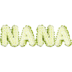 The name NANA is composed here as a tender, sculpted tribute: each capital letter is formed from a dense carpet of pure white chrysanthemums whose tiny, cloudlike florets create a plump, tactile surface. Around the base of every character a pleated band of vivid green foliage or ribbon cradles the blooms, neat and rhythmic, framing the white with a fresh, verdant line that reads as life and renewal. The flowers sit against a stark white field under soft, even lighting that makes the blossom heads glow with a quiet luminosity, their small petals catching and reflecting light like soft snow. There is a subtle, clean scent in the imagining of this arrangement-the faint, green sweetness of chrysanthemums mingled with leafy freshness-that brings a comforting calm to the composition. The arrangement feels personal and intimate rather than ornate: the hand of an experienced florist has arranged hundreds of tiny heads into sculpted letters, pressing each stem to secure fullness and to preserve a rounded, cloudlike profile. In Canonbury this style is commonly chosen by families who want a gentle, reassuring visual at visitations or funeral services, a design that speaks of steady love and memory. Positioned near a chapel on New North Road or a quiet corner of Canonbury Square, this tribute offers consolation, its soft palette and precise greenery helping to steady grief with dignity and warmth.