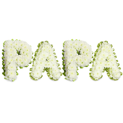 A quietly powerful memorial piece that spells the affectionate name PAPA in crisp, capital letters, each letter composed of tightly packed white chrysanthemums or similar petite white blooms. The workmanship is meticulous: the flowers are arranged into slightly domed clusters that give each letter a soft, cloud-like surface while keeping a neat, readable outline. A narrow band of pale green ribbon-pleated or carefully folded-frames the edge of every character, the lime-pale tone adding a fresh, understated contrast to the pure whites. Set on a stark white backdrop with gentle, diffused lighting, the arrangement reads with serene clarity; the whites contain the faintest warm undertones that the light teases out, and soft shadows beneath the letters add a subtle three-dimensionality. There is the faint, comforting scent of chrysanthemums in bloom, a discreet perfume that sits well with the solemnity of a farewell. As a local florist based in Canonbury, Canonbury Flowers often crafts these personalised tributes for services on Canonbury Square, St Paul's Road, and at nearby chapels-pieces intended to be read easily from a pew or gathered circle. The horizontal layout and even spacing show the hand of an experienced designer: precise, compassionate, and purposeful. This arrangement is crafted to convey purity, respect, and the intimate bond of family-a quiet, honest expression of condolence and remembrance for a cherished father figure.