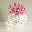 A compact dome of pink roses and clouds of tiny white blossoms rests in a contemporary white orb vase, creating an elegant floral sculpture that reflects the quiet charm of Canonbury's leafy streets. The roses are closely gathered at the top, forming a smooth, rounded crown; each flower shows a gentle gradient of colour, with pale, almost shell-pink outer petals deepening to a vivid, candy-pink centre, giving the bouquet a painterly, hand-finished look. Around the lower edge, delicate stems of baby's breath peek out, their minuscule white blooms forming a soft, mist-like border that lightens the arrangement and adds a sense of calm. The container is a white, hand-woven sphere, its open latticework spiralling and looping to create intricate shadows and a feeling of airiness, like modern art on a side table in one of Canonbury's period homes. Light seems to dance through the gaps, illuminating the roses from beneath and accentuating their velvety texture. This piece feels serene yet sophisticated, equally suited to a minimalist wedding at a local Canonbury venue or an intimate celebration in a nearby Islington townhouse. The arrangement suggests gentle fragrance, warm conversation, and thoughtful gestures, ideal for couples who favour clean lines and romantic details. It's easy to imagine this design as a centrepiece for engagement parties, bridal brunches, or vow renewals across N1, where modern style meets heartfelt sentiment in one polished composition.