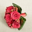 An intimate close-up of a compact bouquet of deep red roses and berries rests on soft, light beige fabric, the gentle weave of the material adding a quiet, tactile backdrop. Each rose is fully open yet still lush, with velvety petals spiralling from a darker crimson heart to slightly lighter scarlet edges, suggesting freshness and careful conditioning. Nestled between the blooms are small, perfectly rounded Hypericum berries in shades of reddish-pink to rich garnet, their smooth skins catching the light and introducing a playful, beaded texture against the softness of the petals. Encircling the flowers, broad, dark green tropical leaves are artfully curled and folded, their glossy surfaces and visible veins framing the arrangement like a natural sculpture. The stems are bound with a rich red satin ribbon, wrapped tightly and neatly, the sheen of the fabric echoing the luxury of the roses themselves. The lighting is even and calm, without harsh shadows, allowing each detail-the curve of a petal, the cluster of berries, the edge of a leaf-to be clearly defined. This floral piece feels romantic and intimate, perfectly suited to be worn as a statement corsage, presented as a small but heartfelt gift, or used as a refined accent for a Canonbury celebration, perhaps at a townhouse gathering near New River Walk or a cosy dinner party off Essex Road. It radiates classic passion and quiet sophistication, like a still moment in the middle of a joyful occasion.