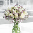 A serene bouquet of creamy white roses and lavender statice is gathered into a clear, cylindrical glass vase, positioned on a bright, uncluttered white surface that enhances the flowers' soft colours. The roses, roughly two dozen in number, form a rounded, generous crown that fills the top of the vase, their petals curling inwards in calm, symmetrical spirals. Hints of pale green along the outer petals reveal their freshness, as though they have just been arranged by a careful florist familiar with the quiet elegance of Canonbury terraces. Interlaced throughout the roses, fine stems of purple statice add a light, misty halo, their tiny clustered blooms creating a gentle contrast in both colour and texture. The stems inside the vase are clearly visible, aligned in a tidy vertical pattern, immersed in clear water that reflects small shafts of light. This transparency underlines the honesty and simplicity of the design, free from excess foliage or embellishment. Natural daylight washes across the arrangement, much like the soft light you might notice drifting across a room overlooking the green calm of Canonbury Place, catching the edges of petals and revealing delicate veins and curves. The background is softly blurred into tones of white and pale grey, keeping the eye wholly on the bouquet while forming an atmosphere of quiet stillness. The overall effect is one of gentle solace and dignified beauty, making the flowers particularly suited for sympathy deliveries, perhaps to a family home near Upper Street, or for placing in a tranquil corner as a focus for reflection, remembrance, and the tender comfort that follows loss.