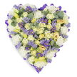 A densely packed, heart-shaped tribute photographed against a clean white studio background, where soft pastels and quiet purples form a serene expression of remembrance. The composition is built from tightly furled cream and pale yellow roses that move from bud to gentle bloom across the heart, their satiny petals giving a plush, layered texture. Interwoven are clouds of ruffled white carnations that add volume and a classic, comforting softness, while clusters of tiny lavender statice scatter like a hush of purple mist, lending an airy, slightly rugged contrast. Small, daisy-like purple asters with bright yellow centres punctuate the design with cheerful pinpricks of colour, lifting the palette without breaking its gentle mood. Rounded, blue-green eucalyptus leaves are placed at intervals, their silvery sheen and rounded form offering natural punctuation and the imagined, cool scent of crushed foliage. The whole shape is carefully edged with a looped, rich purple satin ribbon, folded to follow the heart's perimeter and give the piece a refined, finished silhouette. Soft studio light highlights the subtle interplay of cream, pale yellow and lavender, creating gentle shadows that deepen the arrangement's dimensionality while keeping its tone calm and consoling. As a florist familiar with Canonbury and nearby Newington Green, I picture this style placed by family at a chapel near Canonbury Square or left at a graveside under early morning light, its colours chosen to comfort and to speak of enduring love. This funeral-worthy heart is crafted to convey sympathy and dignity-quiet, tactile, and thoughtfully composed for moments of farewell and memory in our local community.