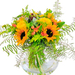 There's an immediate sense of sun-drenched happiness in this Canonbury bouquet, its lively energy echoing the first days of August in Arlington Square. Dominated by two grand sunflowers with bold, golden petals radiating around rich, coffee-coloured hearts, the arrangement positively beams against a clean, white backdrop. Small, bright yellow clusters reminiscent of garden solidago punctuate the ensemble, lifting the design with their playful brightness. Dashes of soft coral-orange blooms nestle within the thick, varied greenery, introducing a charming and modern twist that catches the eye. The carefully arranged mix of ferns and eucalyptus creates a cascade of lush textures and hues-from deep, feathery greens to subtle, powdery blues-all spilling elegantly over the rim of a crystal-clear, round glass vase. The stems, visible beneath the water, underscore the bouquet's freshness and careful construction by a devoted Canonbury florist. This arrangement would bring a breath of garden vitality and cheerful colour to a Newington Green breakfast table or serve as a heartfelt gift to light up a friend's home. It's the kind of bouquet that speaks of enduring friendship, spontaneous celebration, and the unmistakable spirit of Islington's vibrant community-perfect for sharing happiness, gratitude, or a simple moment of joy, all through the language of flowers.