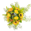 This vivacious yellow bouquet, inspired by Canonbury's sun-dappled lanes and local garden paths, offers a full-spectrum celebration of happiness and vitality. Dominant sunflowers, their golden petals swirling outward from bold brown centers, capture the energy of midday sunlight. Nestled alongside are plush, tightly spiraled yellow roses, their silky texture providing a soft contrast to the sunflowers' radiant confidence. Sprigs of orange-red accent flowers or hypericum berries pop amongst the larger blooms, infusing the arrangement with an autumnal warmth and echoing the fiery leaves seen in local parks come September. Bluish-green eucalyptus branches and dense foliage entwine throughout, grounding the bouquet with depth and a hint of herbal aroma. The composition is gently framed by arching, feathery Asparagus fern fronds, giving the arrangement a mesmerizing, airy feel-reminiscent of breeze-kissed meadows near Canonbury's Newington Green. Each element is meticulously placed by Canonbury Flowers, embodying both the expertise and heartfelt artistry of neighbourhood florists. Whether intended for a birthday surprise, a splash of cheer for a home on Essex Road, or simply a reminder that even ordinary days can be made extraordinary with flowers, this arrangement is a lively tribute to Canonbury living. The bouquet's fresh fragrance and vibrant hues invite thoughts of new beginnings and joyful occasions, uniting the natural grace of local blooms with the comfort of a familiar, welcoming community.