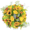 This exuberant bouquet, alive with golden yellows and orchard-inspired accents, radiates the easy elegance of Canonbury's quiet streets in full bloom. Sunflowers form the joyful core, their broad, cheerful faces reminiscent of those often seen brightening gardens along Alwyne Road. Surrounding them, plush yellow roses unfurl with a buttery softness, exuding layers of gentle floral scent and warmth. Ferns and light goldenrod border the arrangement in feathery arcs, giving it a naturally gathered, meadow-fresh effect-like a handful of late summer blooms picked from the banks of the New River Walk. Splashes of orange and vivid red berries introduce lively contrasts, ensuring every glance reveals something unexpected and delightful. Slender sprigs of eucalyptus add a subtle silvery hue and an uplifting, herbal coolness, balancing the bouquet's sunny palette. Altogether, the arrangement feels like a celebration of local abundance and joy, perfect for expressing appreciation or welcoming a chapter of happiness into someone's day. This Canonbury-inspired bouquet is an uplifting tribute to nature's artistry, thoughtfully gathered and arranged by local florists for moments when heartfelt colour is needed most.